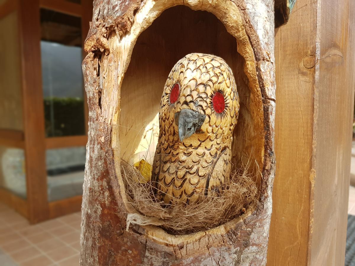 Le Chalet Del Pollino ロトンダ エクステリア 写真