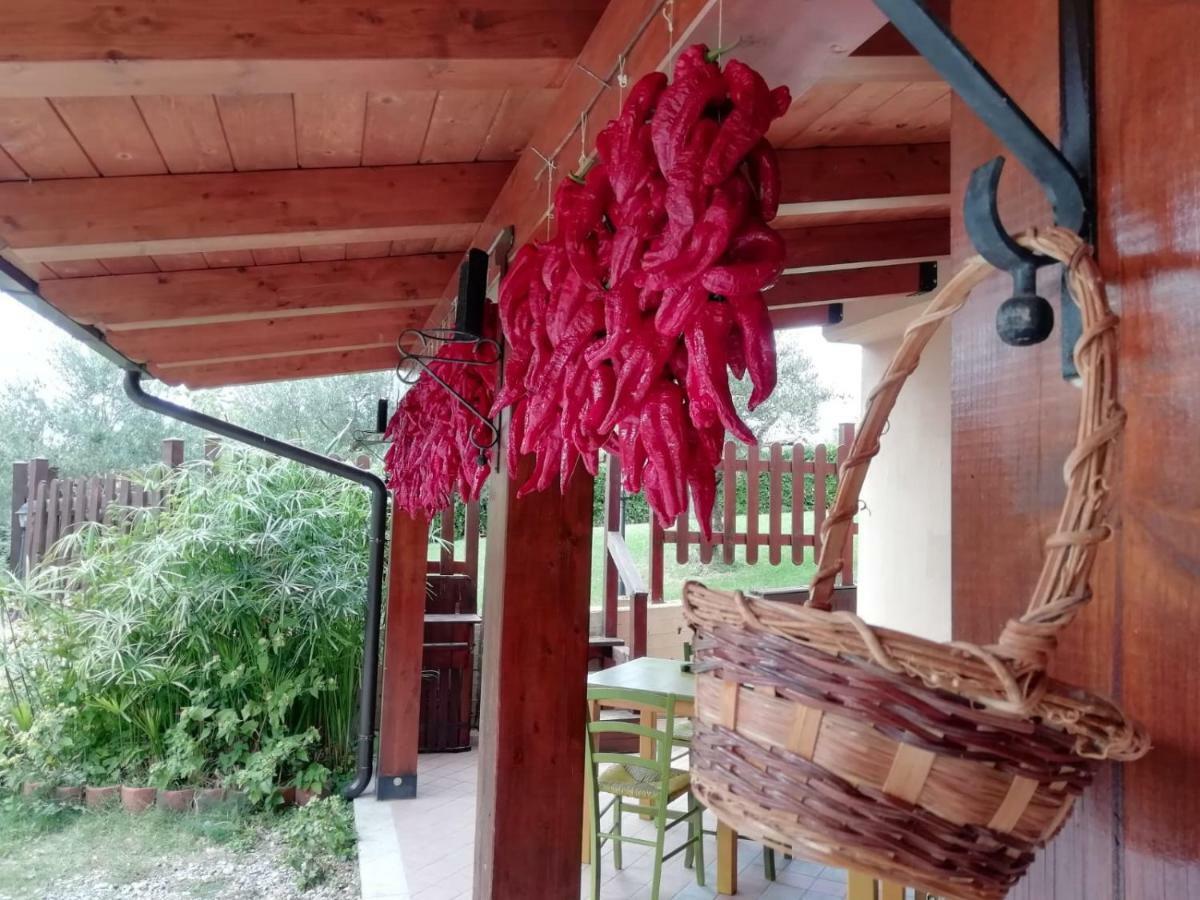Le Chalet Del Pollino ロトンダ エクステリア 写真